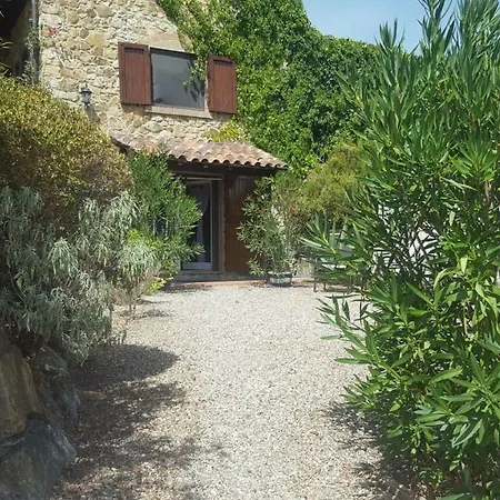 La Lavanda Riparbella