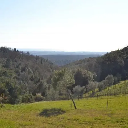 La Lavanda Riparbella